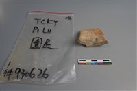 陶片藏品圖，第2張
