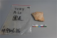 陶片藏品圖，第3張