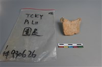 陶片藏品圖，第4張