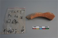 陶片藏品圖，第1張