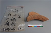 陶片藏品圖，第4張