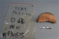 陶片藏品圖，第1張