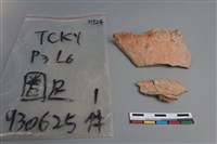 陶片藏品圖，第1張