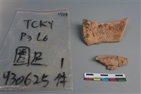 陶片藏品圖，第2張