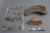 陶片藏品圖，第3張