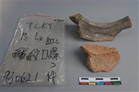 陶片藏品圖，第4張