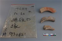 陶片藏品圖，第1張