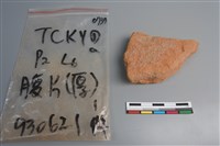 陶片藏品圖，第2張