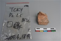 陶片藏品圖，第1張