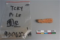 陶片藏品圖，第2張