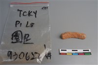 陶片藏品圖，第3張