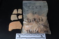 陶片藏品圖，第1張