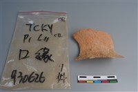 陶片藏品圖，第3張