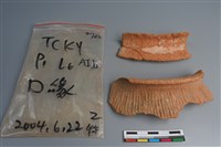 陶片藏品圖，第1張