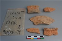 陶片藏品圖，第1張