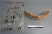 陶片藏品圖，第2張