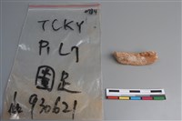 陶片藏品圖，第3張