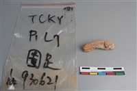 陶片藏品圖，第4張