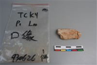 陶片藏品圖，第2張