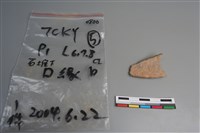 陶片藏品圖，第1張