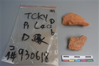 陶片藏品圖，第3張