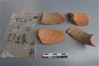 陶片藏品圖，第4張