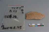 陶片藏品圖，第1張