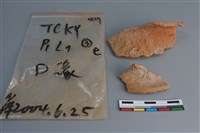 陶片藏品圖，第1張