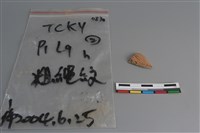 陶片藏品圖，第1張