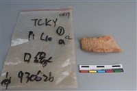 陶片藏品圖，第1張