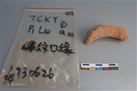 陶片藏品圖，第3張