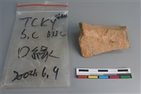 陶片藏品圖，第2張