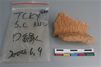 陶片藏品圖，第3張