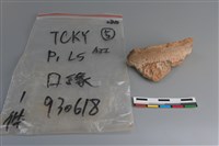 陶片藏品圖，第1張