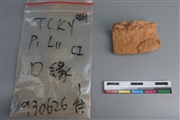 陶片藏品圖，第1張