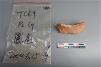 陶片藏品圖，第1張