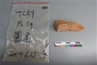 陶片藏品圖，第2張