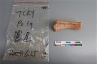 陶片藏品圖，第3張