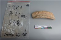 陶片藏品圖，第3張