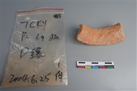 陶片藏品圖，第2張