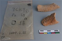 陶片藏品圖，第3張