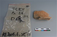 陶片藏品圖，第3張