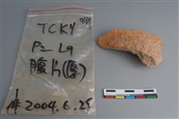 陶片藏品圖，第1張