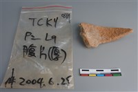 陶片藏品圖，第2張