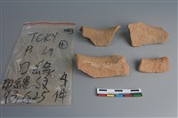 陶片藏品圖，第2張