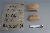 陶片藏品圖，第1張