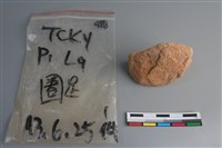 陶片藏品圖，第3張