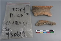 陶片藏品圖，第1張