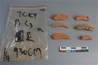 陶片藏品圖，第2張