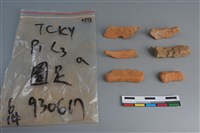 陶片藏品圖，第3張